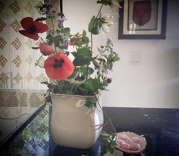 Szálloda Oeykue Butik 4*